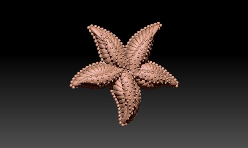 Starfish Model