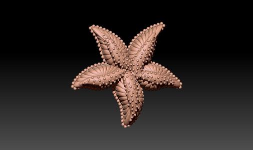 Starfish Model