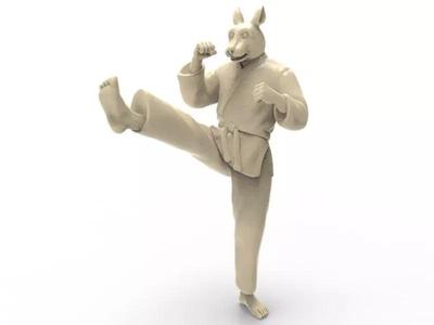 Rabbit Front kick