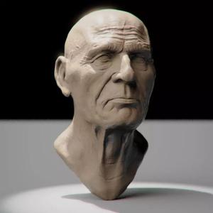 Realistic Bust of a Man
