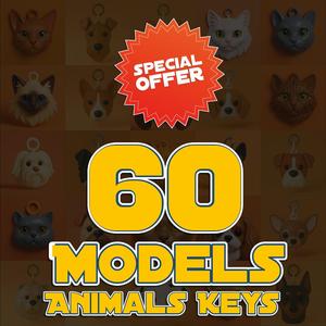 Special Offer: 60 Animals Keys - A Collector's Dream!