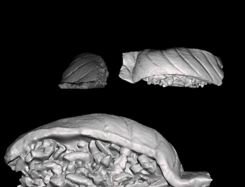 Salmon Nigiri - Sushi Food