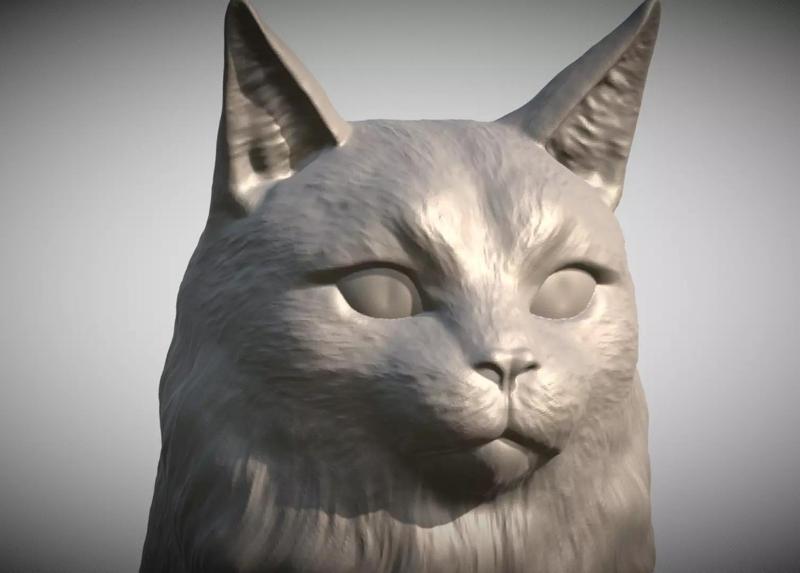 Maine Coon head for 3D printing