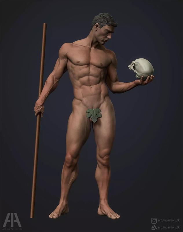 Male anatomy