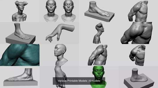 Various Printable Models 3D Model Collection