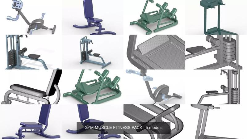 GYM MUSCLE FITNESS PACK 3D Model Collection
