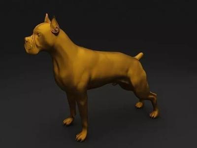 Boxer High Detailed 3D Model
