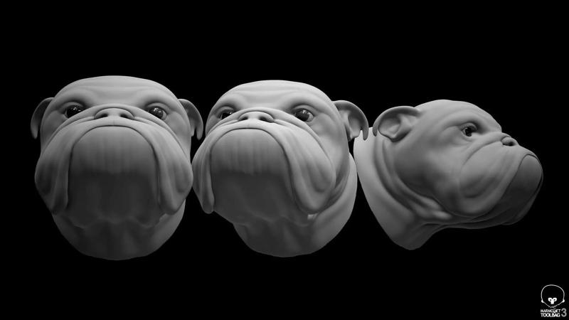 Bulldog Head - Animal dog