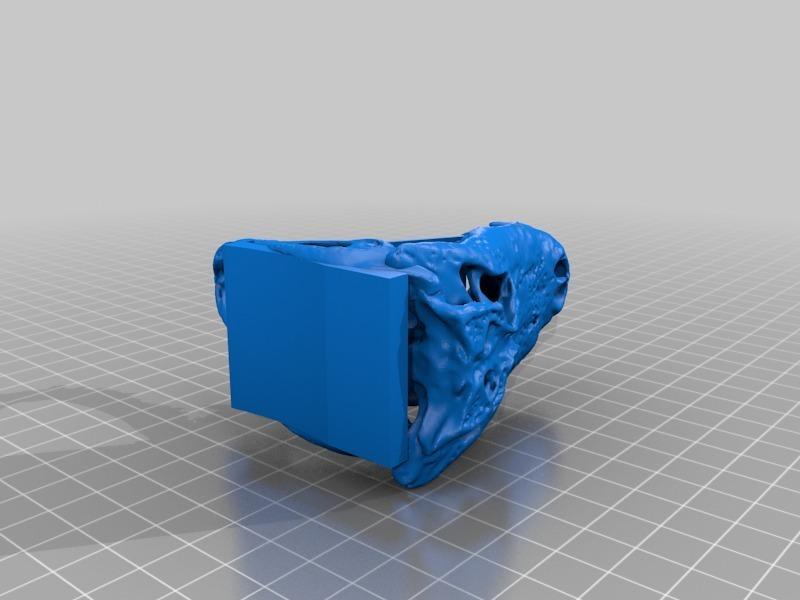 Alligator Skull Stand