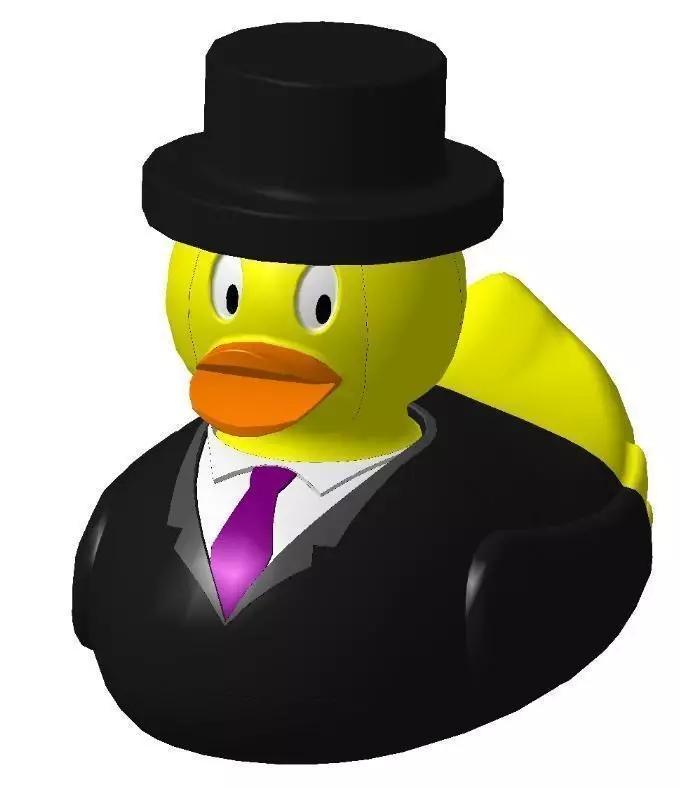 Groom - Duck