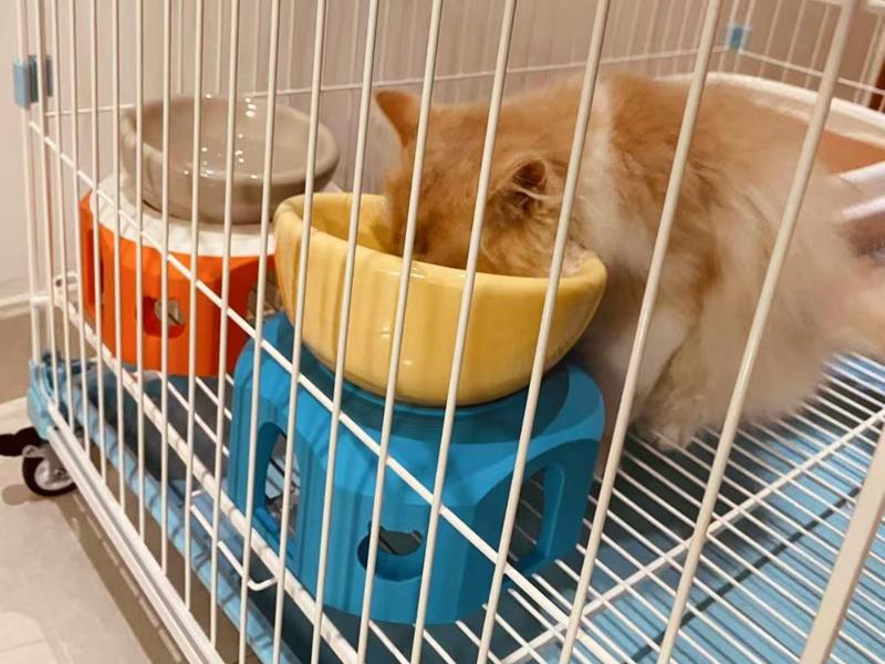 猫碗架 Cat food bowl stand