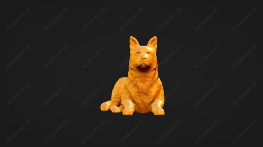 Australian Cattle Dog 3D Print Model Pose 07