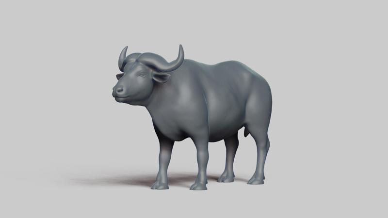 african buffalo pose 03