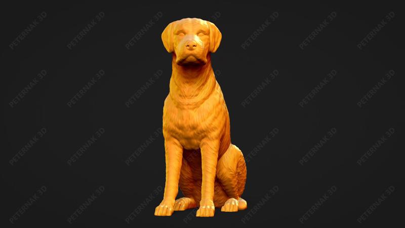 Chesapeake Bay Retriever Dog 3D Print Model Pose 05