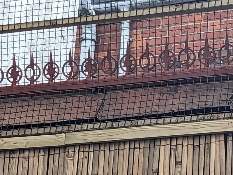 Roof Ridge decor and cat deterant