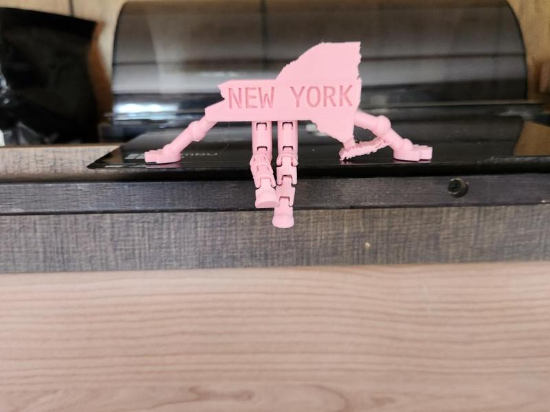 State of New York Buddy