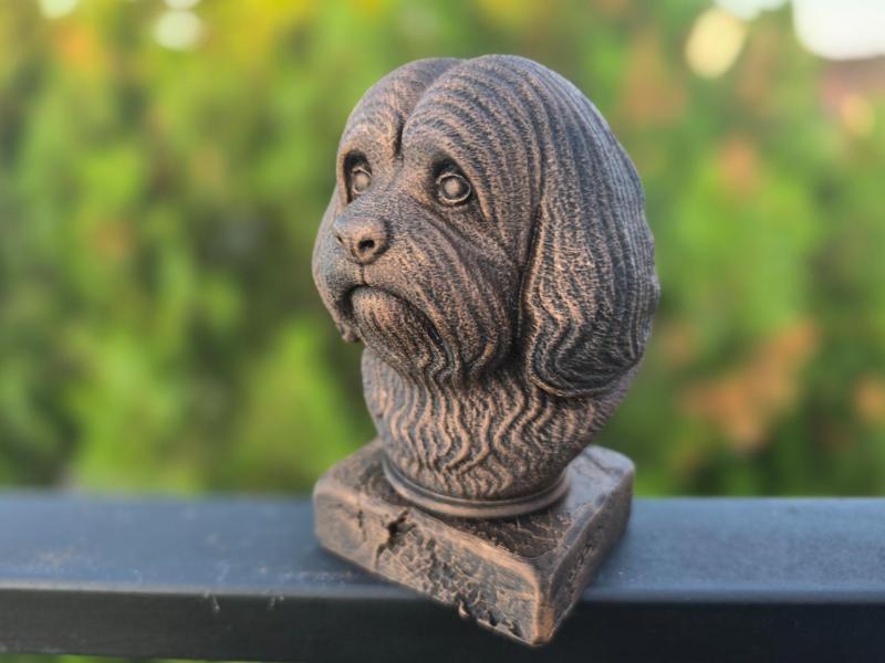 LHASA APSO BUST