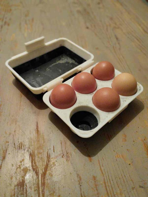 Sturdy egg carton (6)