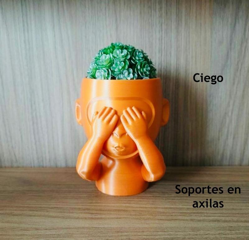 Wise monkey -wise monkey