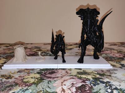 Aliens: Xenomorph Life Cycle Stages