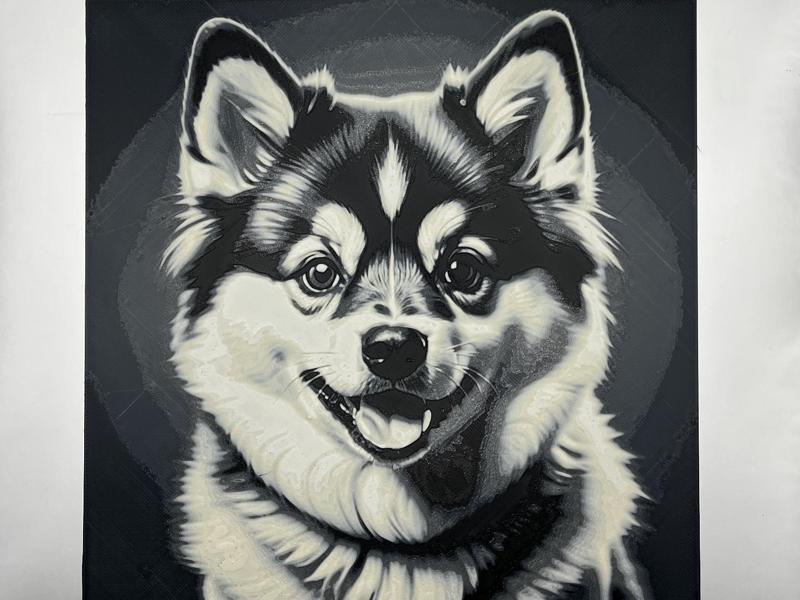 Pomsky Puppy Hueforge