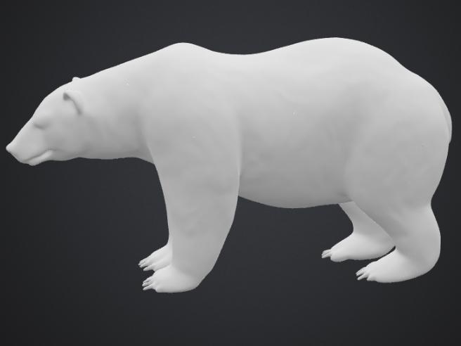 Polar bear