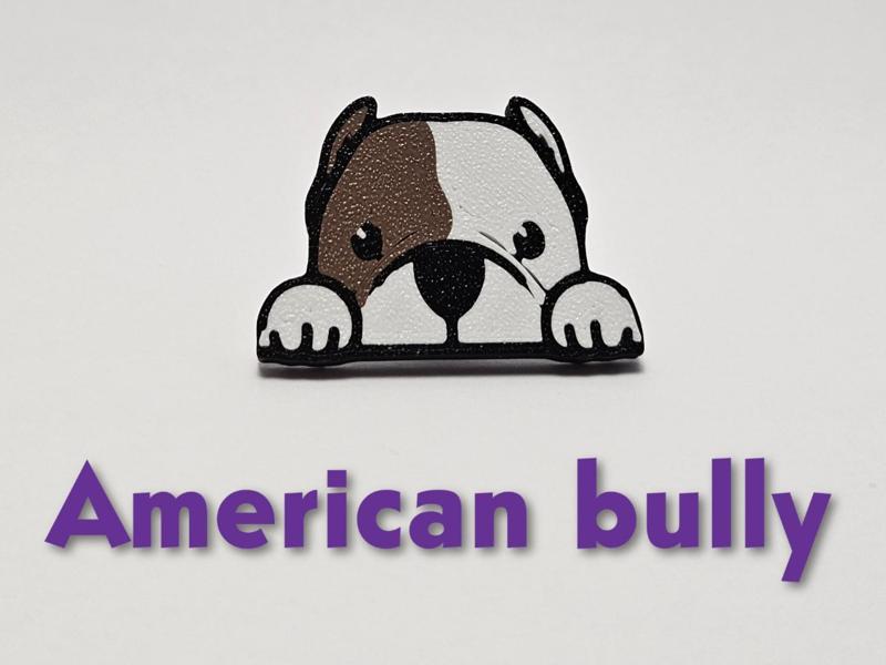 American bully Crocs charm
