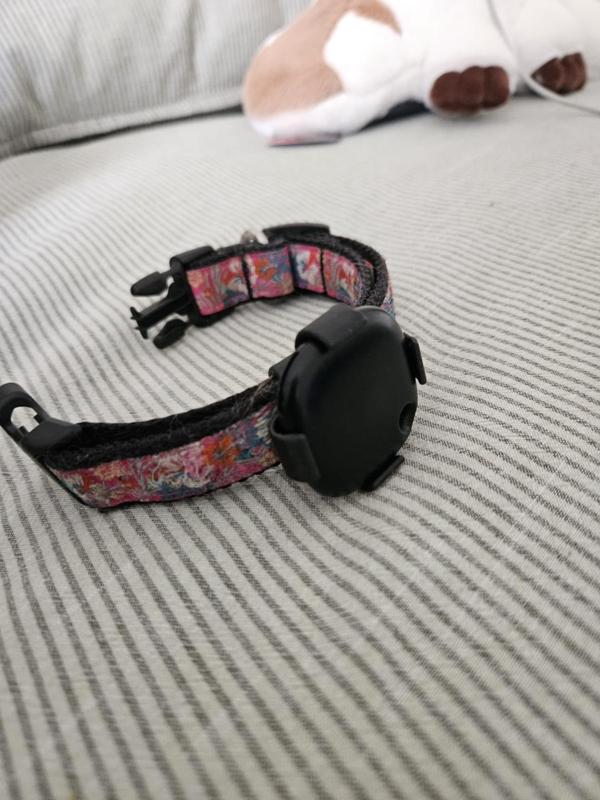 SmartTag Mount for Pets Collar