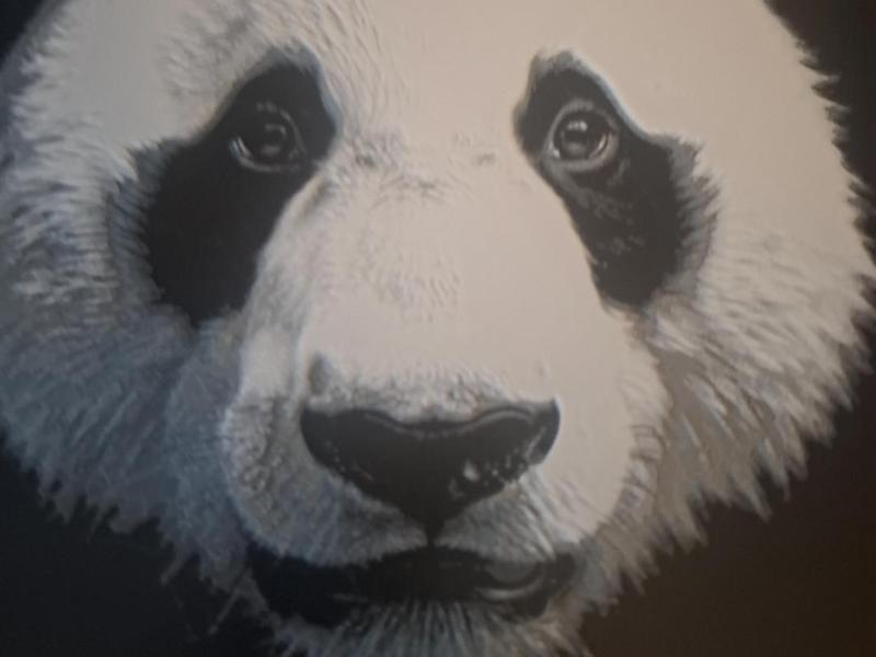 Panda Hueforge 200 x 200