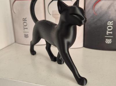 Majestic Cat "Herr Freundlich" Nevernight