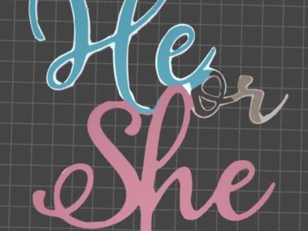 Topper cake Gender reveal he or she babyshower  