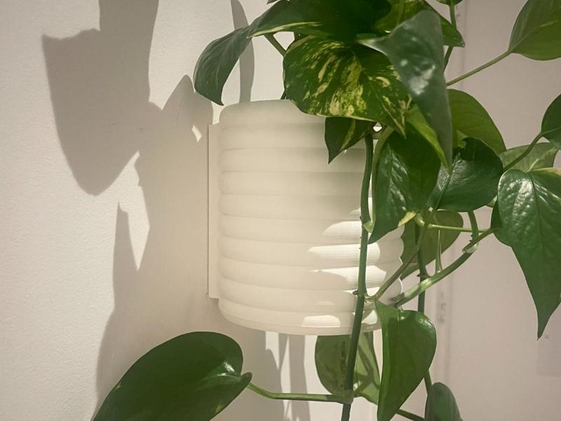 Wall Mounted Planter