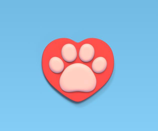 Paw Heart Coaster