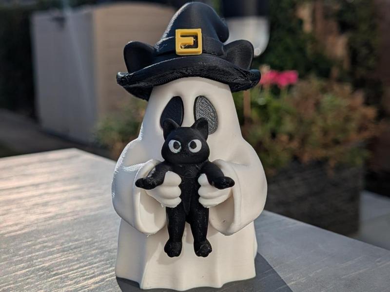 Cute Halloween Ghost With Black Cat