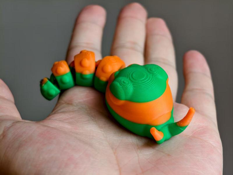 Caterpillar, no supports, Children's Object Identification, Chinese Evergreen Swallowtail Larva