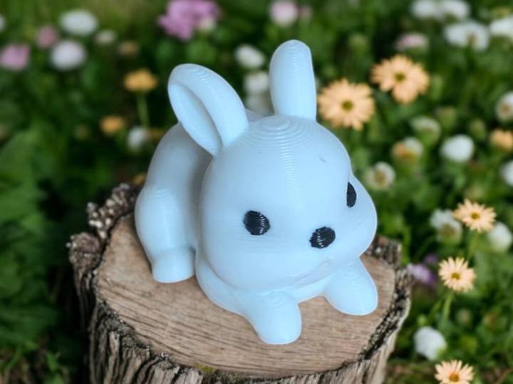 Precious mini white bunny