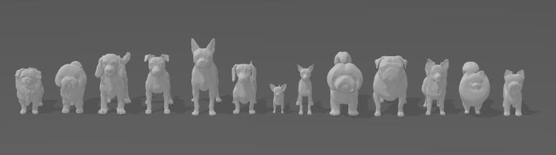 Miniatures - Small Breed Dogs