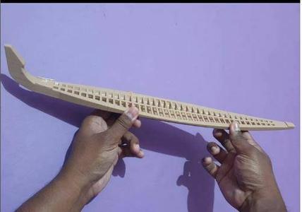 Traditional Snake Boat