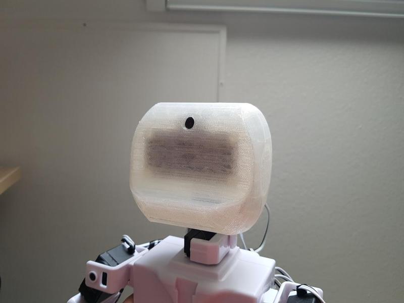 Head for JD Humanoid