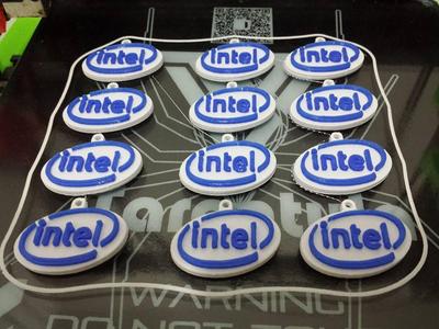 Intel Keychain