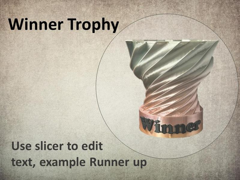 Winner Trophy - Spiral Cup