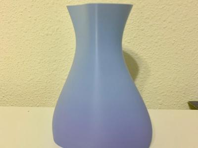 PLA Basic Freeform Vase