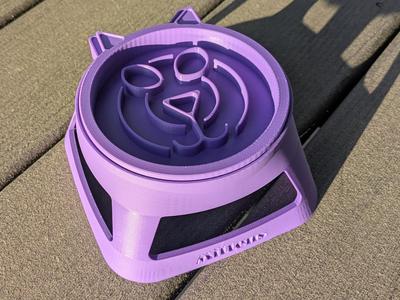 Raised Slow Feeder Cat Bowl