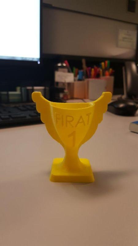 Şampiyon Kupası, Cup, Trophy