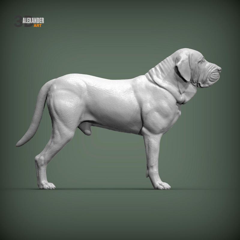 Fila Brasileiro