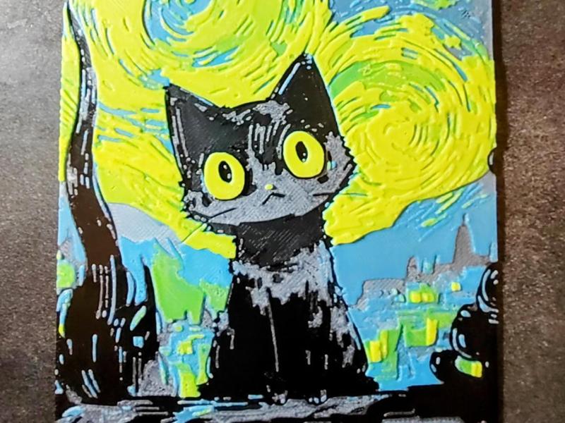 Cat in the Starry Nigh