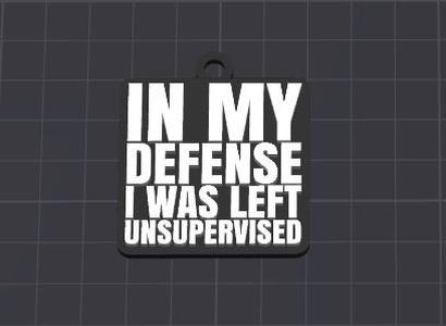 in my defense fun keychain/charm(free commercial)