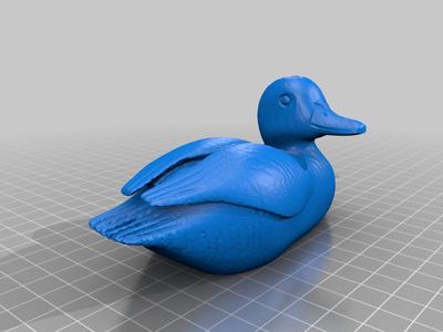 Duck