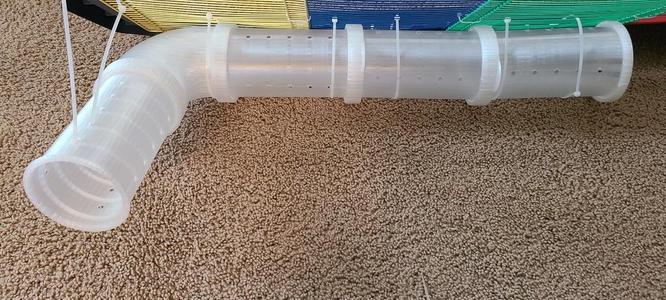 Syrian Hamster Tubes