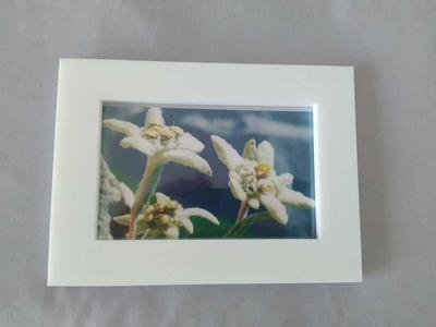 Photo Frame 18.5 x 13.5
